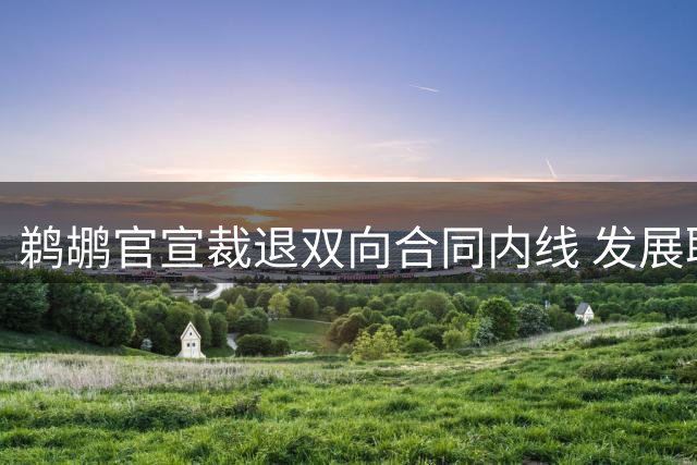 鹈鹕官宣裁退双向合同内线 发展联盟悍将场均两双数据